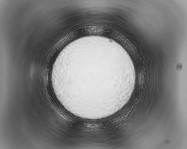 X0000098100733200805021109