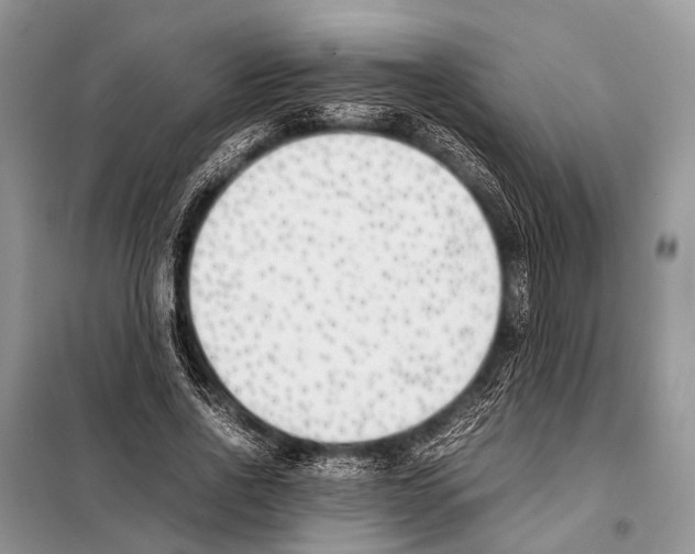 X0000098100734200805021109