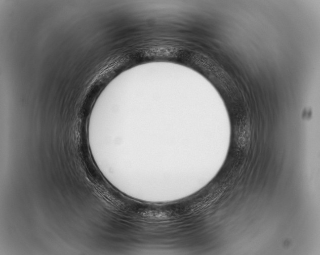 X0000098100735200805021109