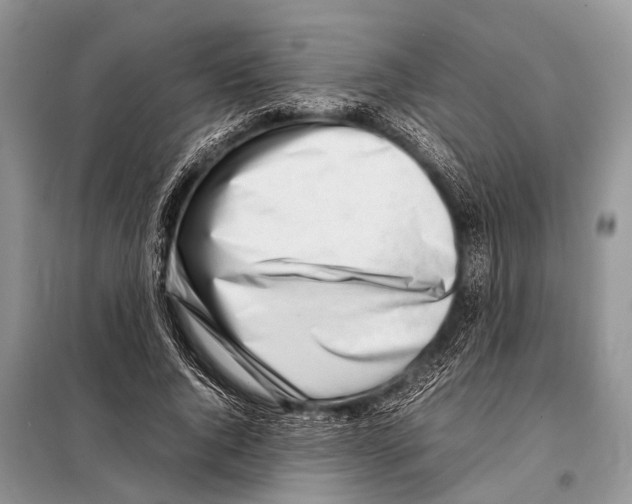 X0000098100736200805021109