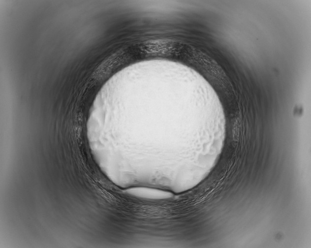 X0000098100737200805021109