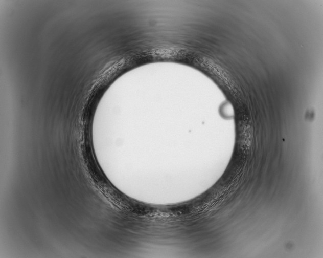 X0000098100738200805021109