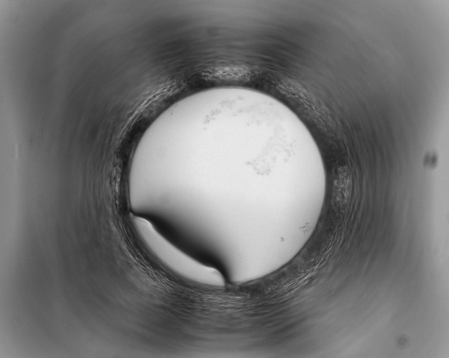 X0000098100739200805021109