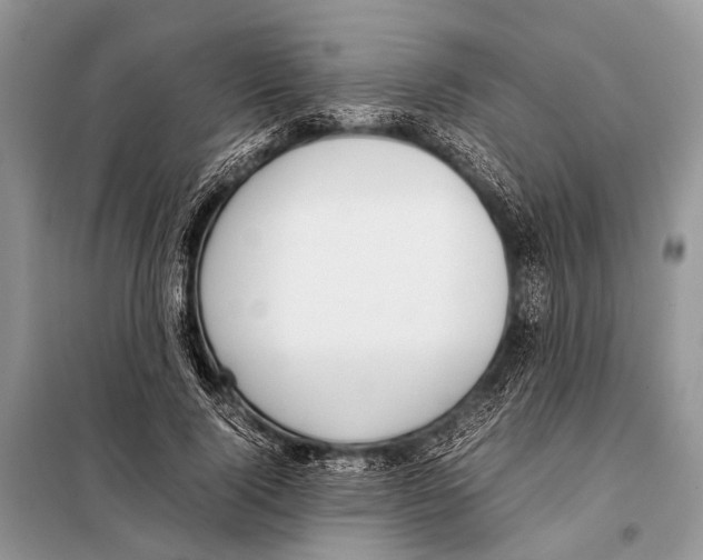 X0000098100740200805021109