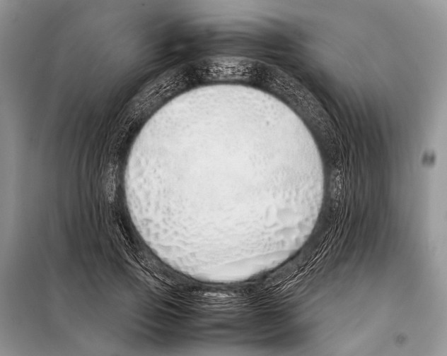 X0000098100741200805021109