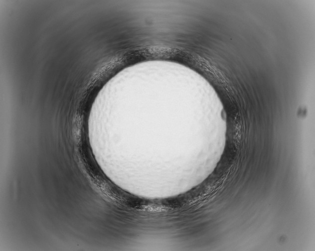 X0000098100742200805021109