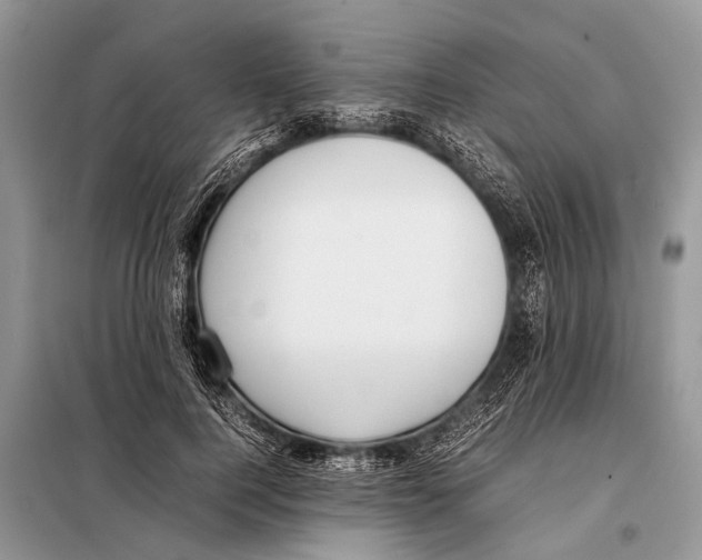 X0000098100744200805021109