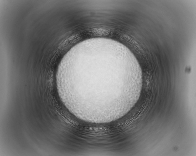 X0000098100745200805021109