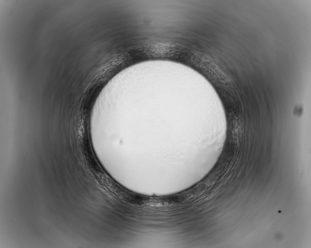 X0000098100746200805021109