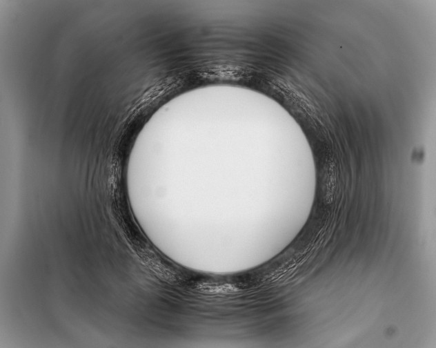 X0000098100747200805021109