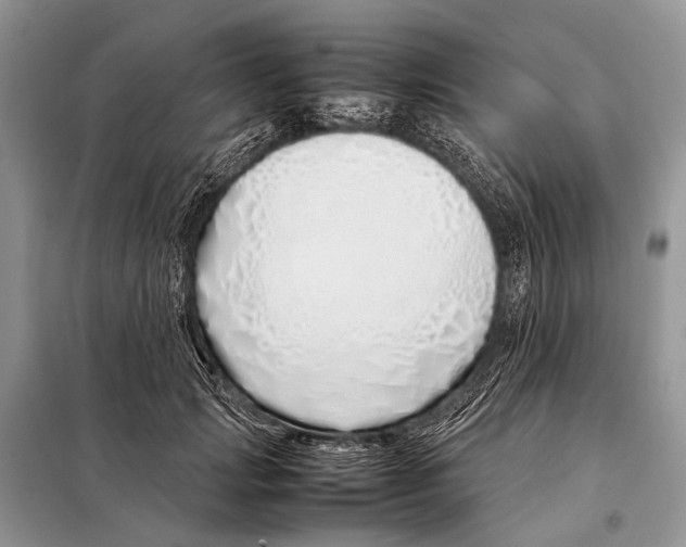 X0000098100749200805021109
