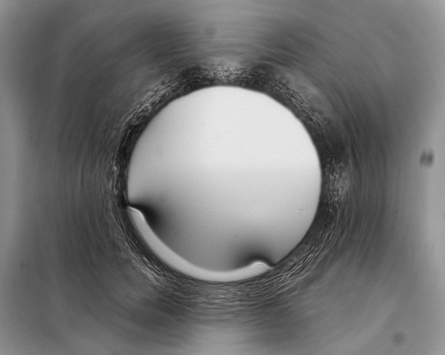 X0000098100750200805021109