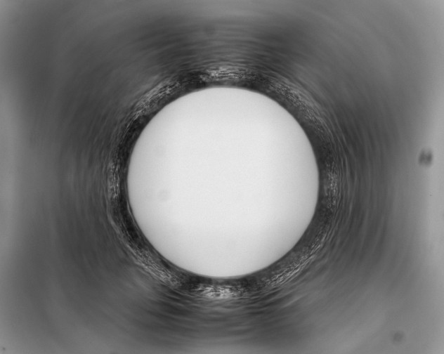 X0000098100751200805021109