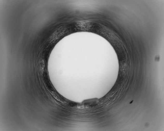 X0000098100752200805021109