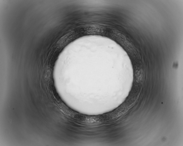 X0000098100753200805021109