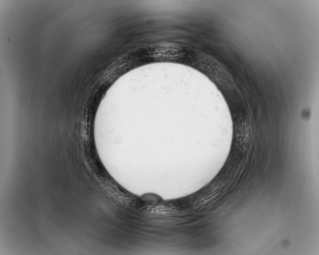 X0000098100755200805021109