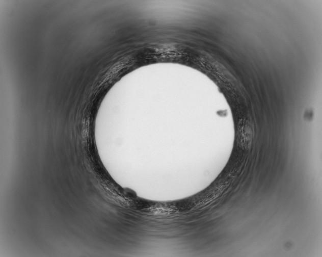 X0000098100756200805021109
