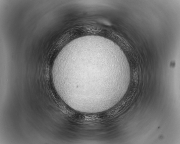 X0000098100757200805021109