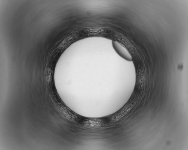 X0000098100758200805021109