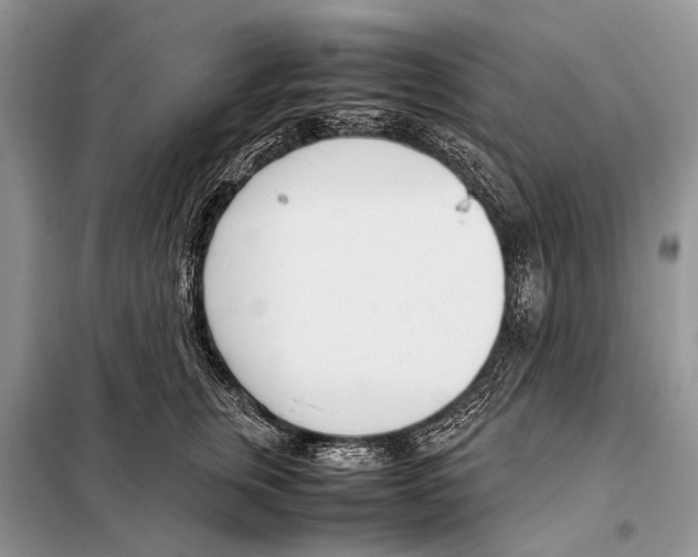 X0000098100759200805021109