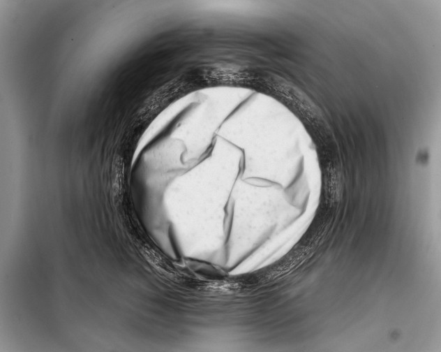 X0000098100760200805021109