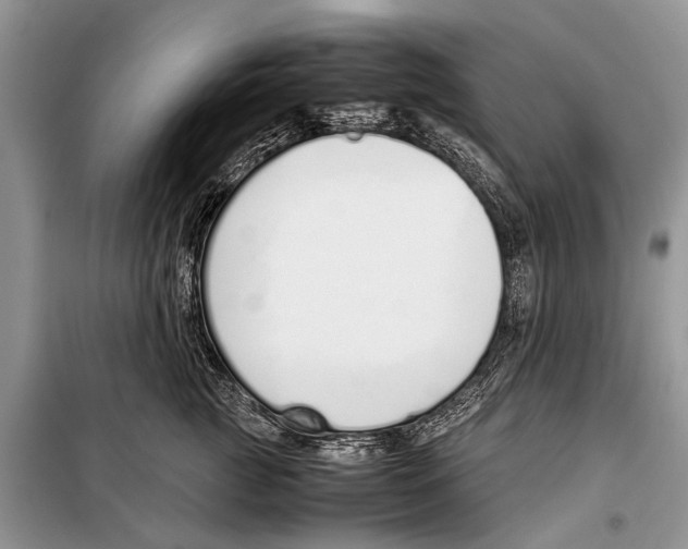 X0000098100761200805021109