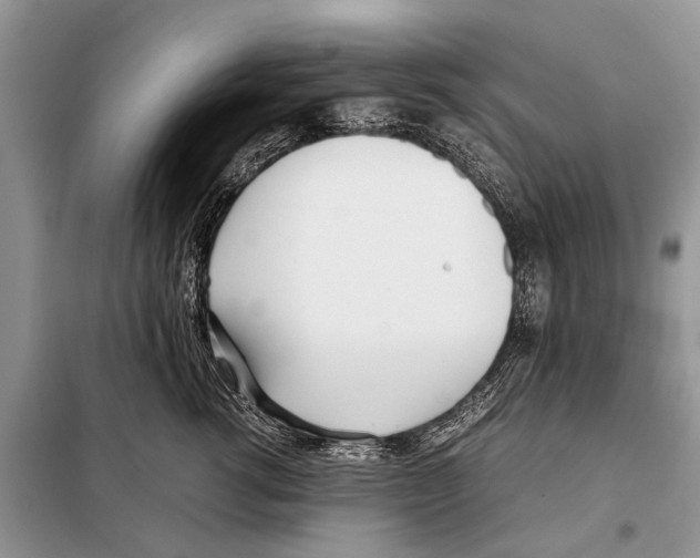 X0000098100762200805021109