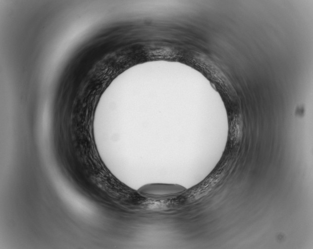 X0000098100764200805021109