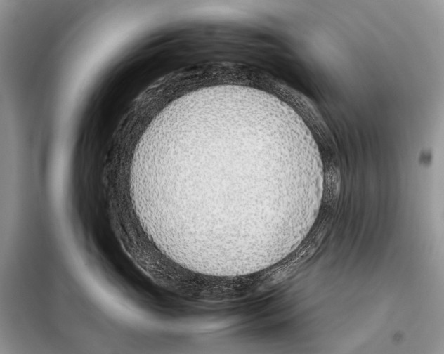 X0000098100765200805021109