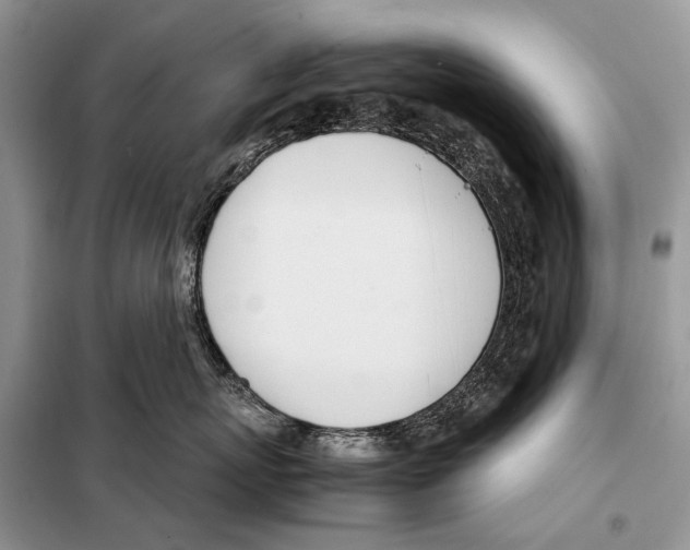 X0000098100767200805021109