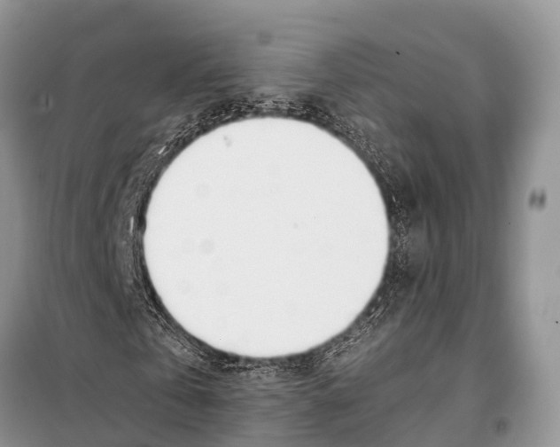 X0000098100769200805021109