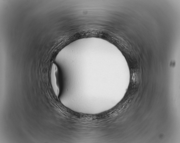 X0000098100771200805021109