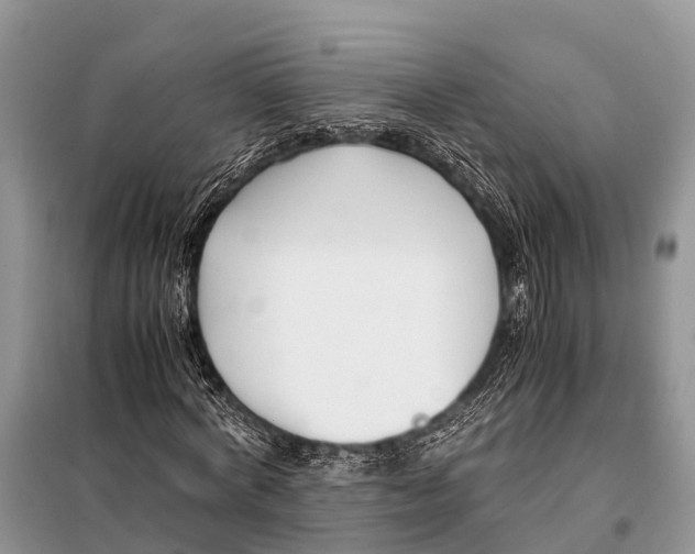 X0000098100772200805021108