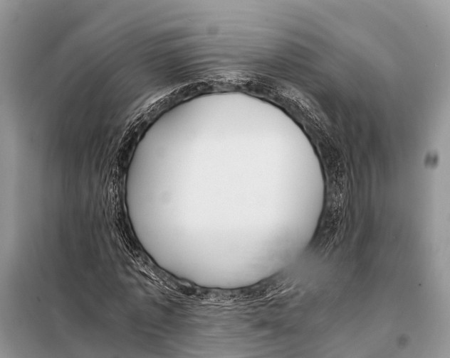 X0000098100773200805021108