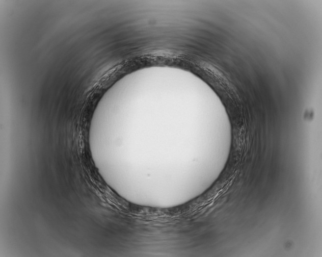 X0000098100774200805021108