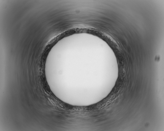 X0000098100775200805021108