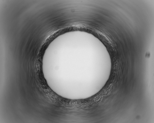 X0000098100776200805021108