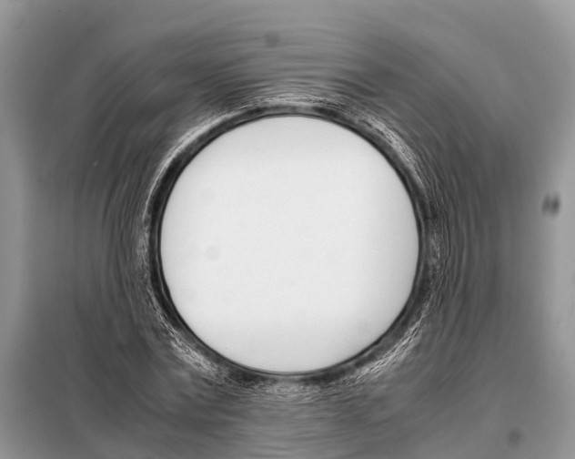 X0000098100779200805021108