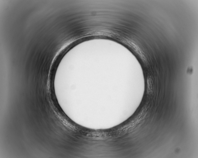 X0000098100780200805021108