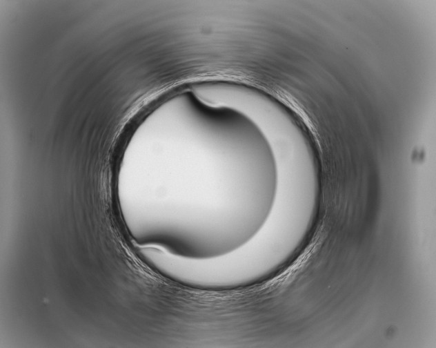 X0000098100781200805021108
