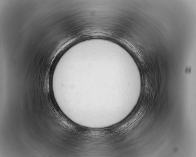 X0000098100782200805021108