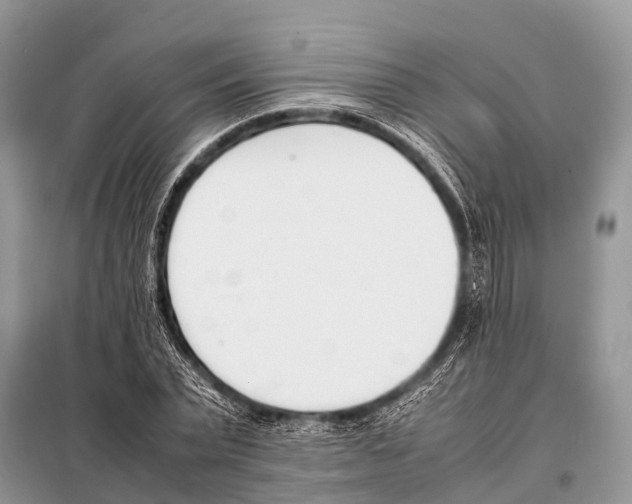 X0000098100783200805021108