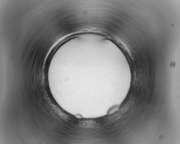 X0000098100784200805021108