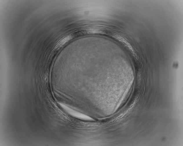 X0000098100785200805021108