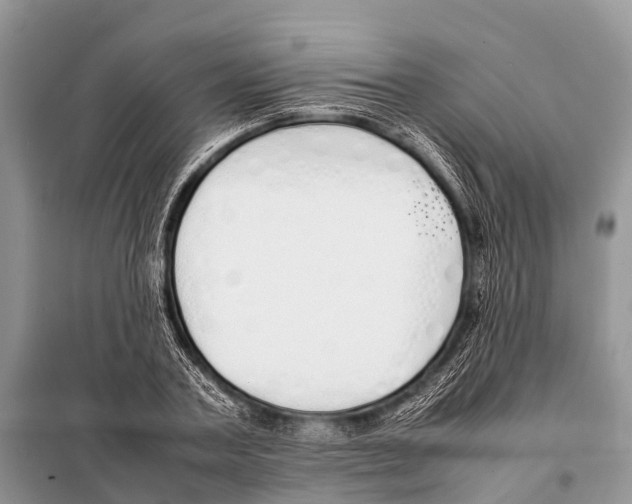 X0000098100787200805021108