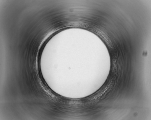 X0000098100788200805021108