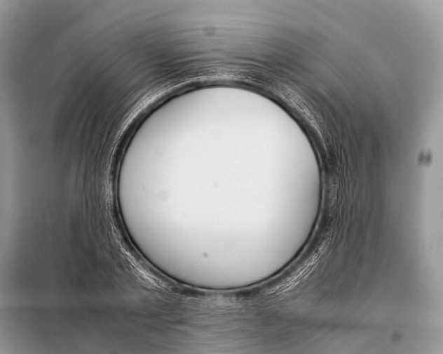 X0000098100789200805021108