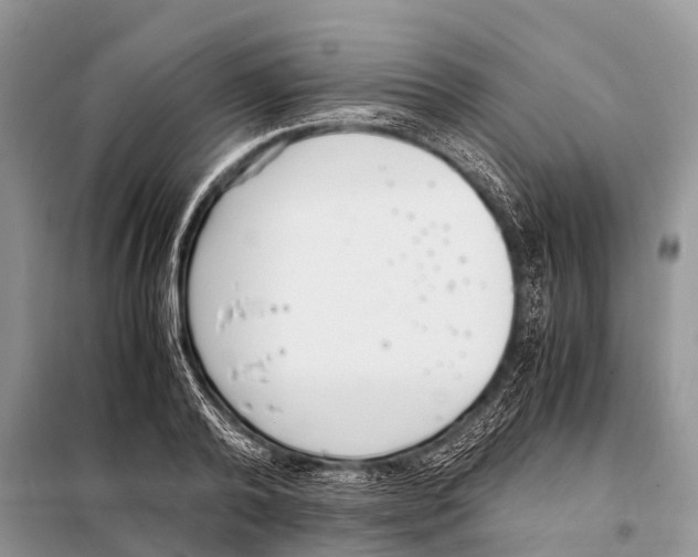 X0000098100792200805021108