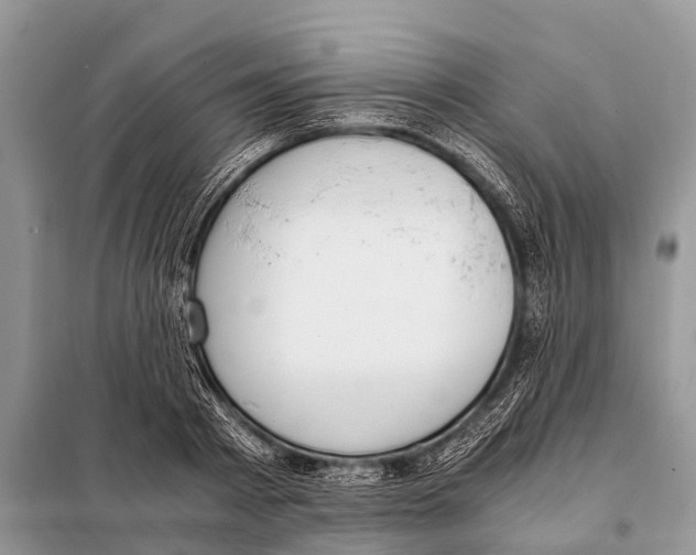 X0000098100793200805021108