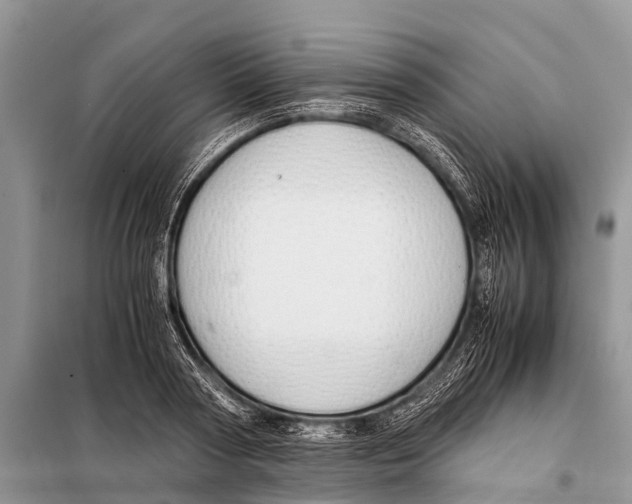 X0000098100794200805021108